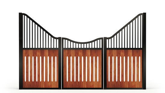 Electra-front, R_gaps,  2d View