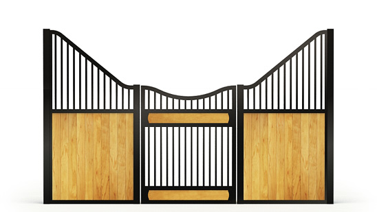 Narro-front, Y,  2d View