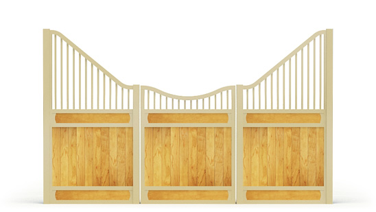 Narro-front, Y,  2d View