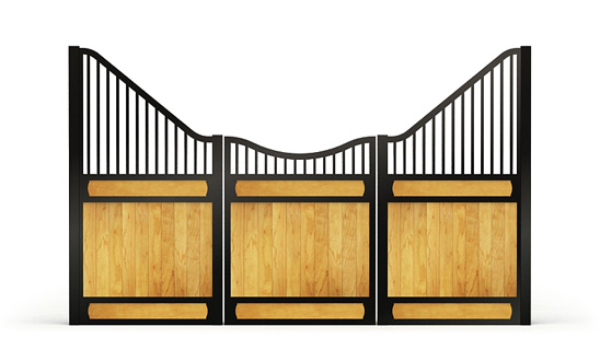 Narro-front, Y,  2d View
