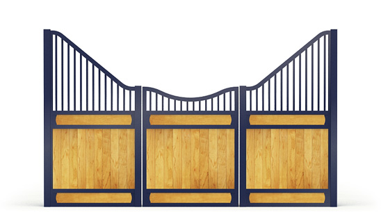 Narro-front, Y,  2d View