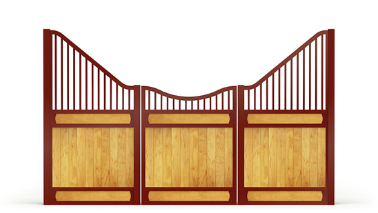 Narro-front, Y,  2d View