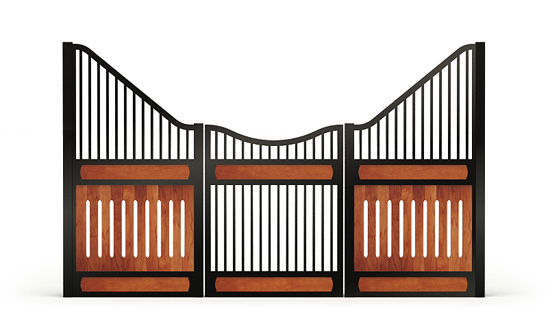 Narro-front, R_gaps,  2d View