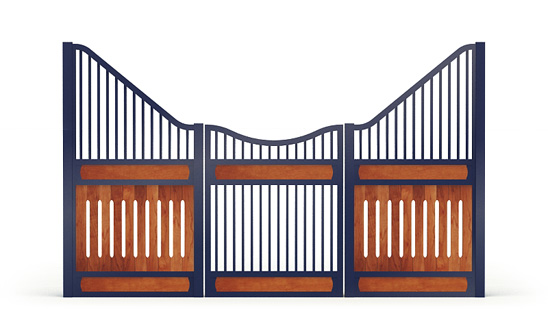 Narro-front, R_gaps,  2d View