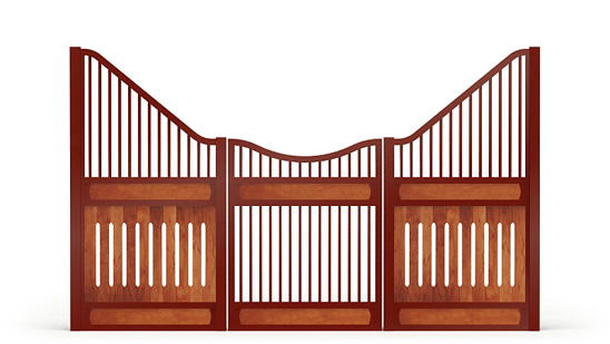 Narro-front, R_gaps,  2d View