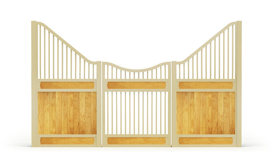 Narro-front, Y,  2d View