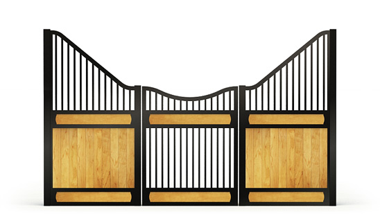 Narro-front, Y,  2d View