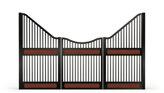 Narro-front, P,  2d View