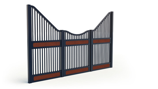 Narro-front, P,  3d View