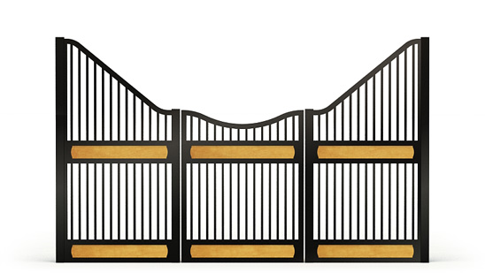Narro-front, Y,  2d View