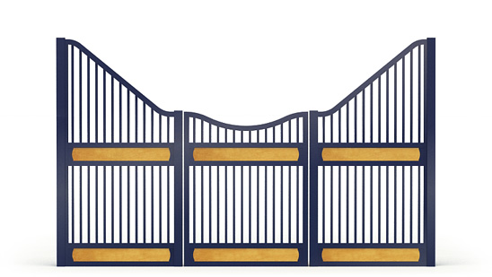 Narro-front, Y,  2d View
