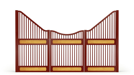 Narro-front, Y,  2d View