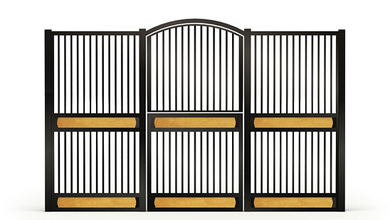Varena-front, Y,  2d View