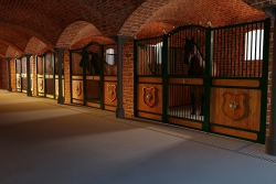 Varena Front 11